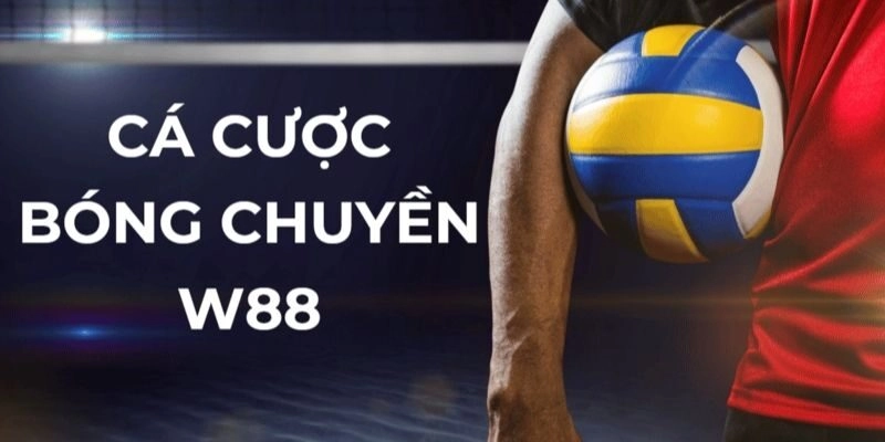 Sơ lược về đặt cược bóng chuyền