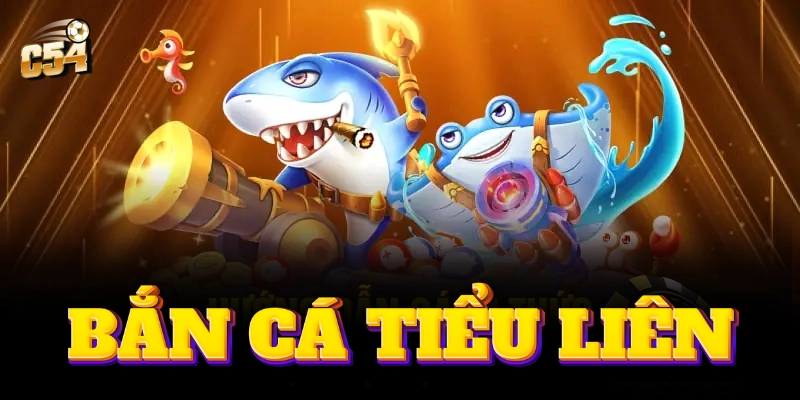 Kỹ năng bắn cá tiểu liên để chinh phục đại dương