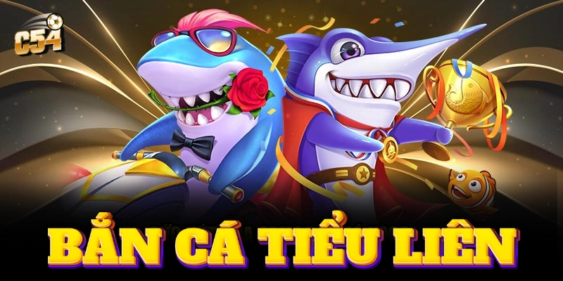 Những điểm nổi bật và tính năng chính